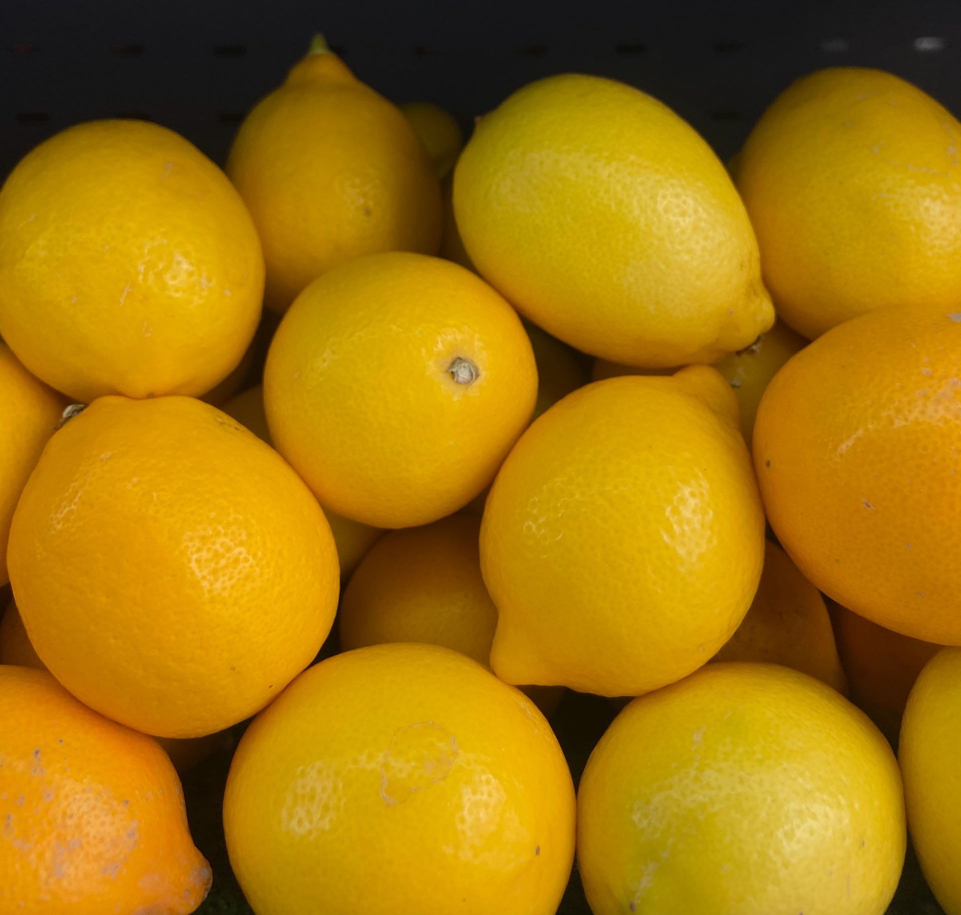 Limon kg