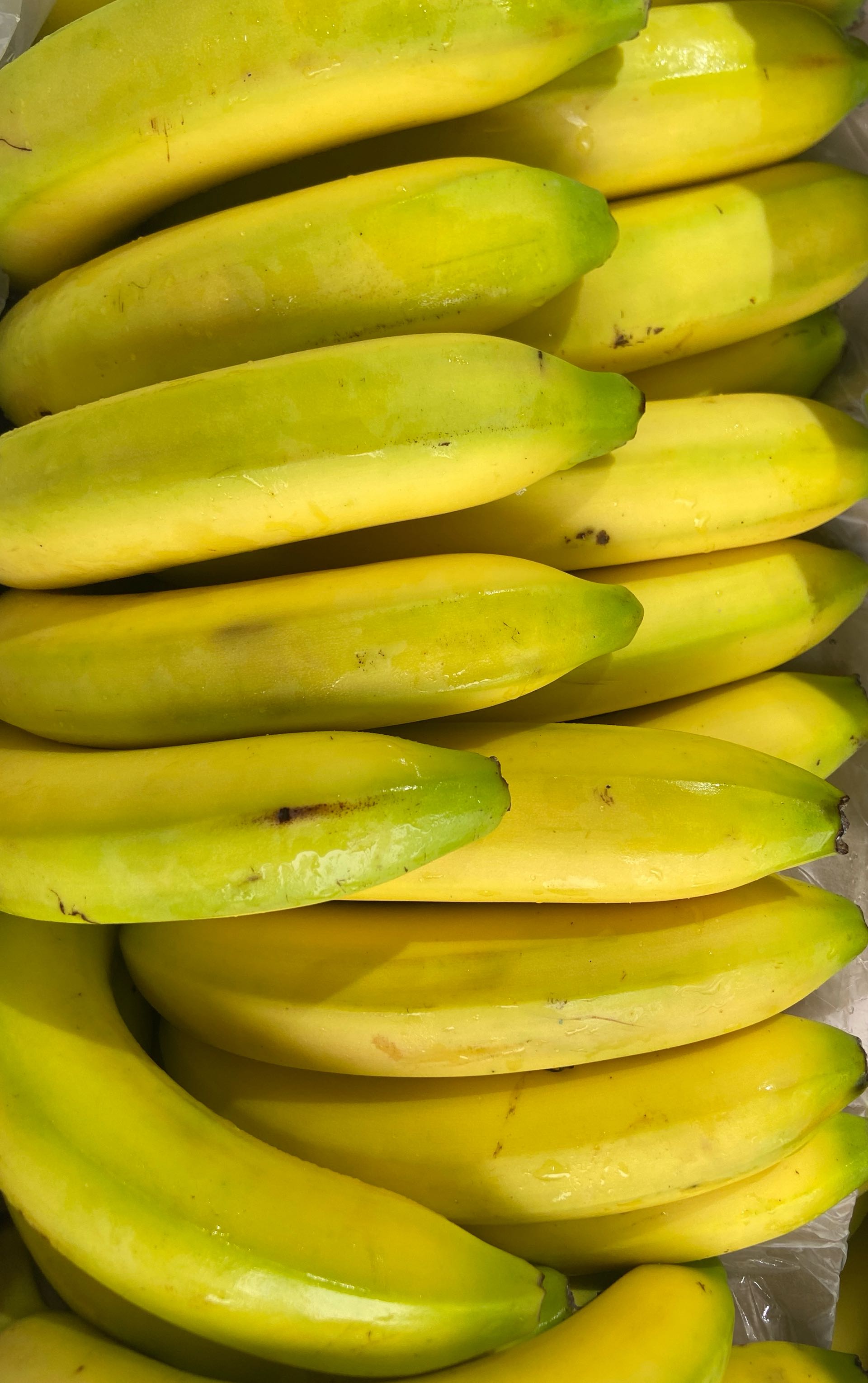 Banan kg