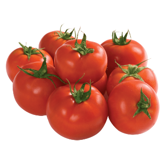 Pomidor                                               lampochka